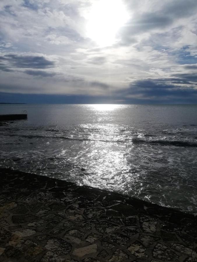 Apartment Jana Novigrad  Bagian luar foto