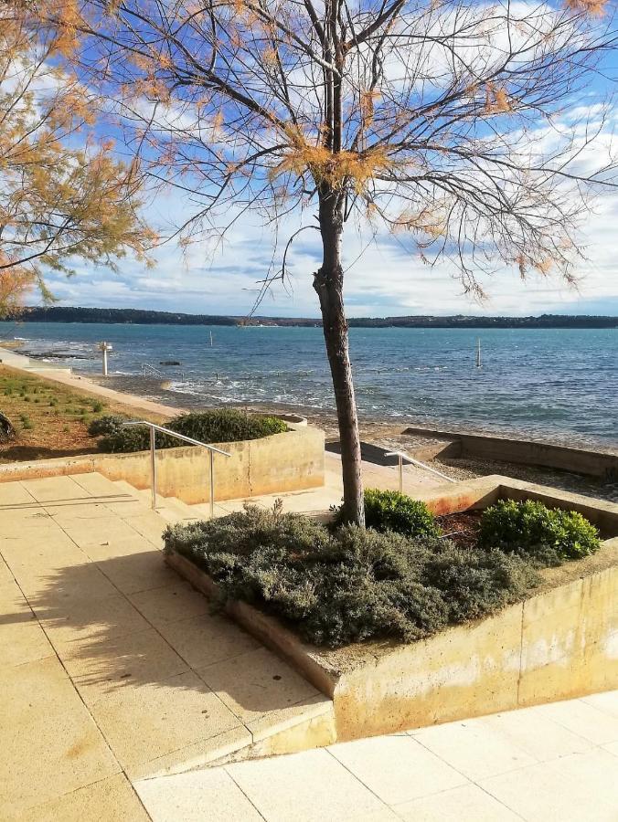 Apartment Jana Novigrad  Bagian luar foto
